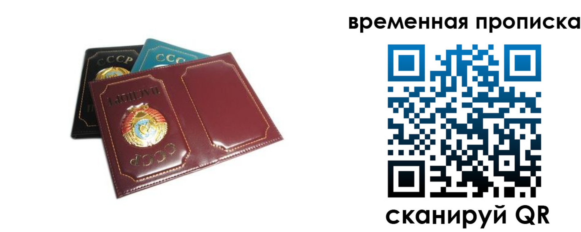 прописка 2025 в Зее